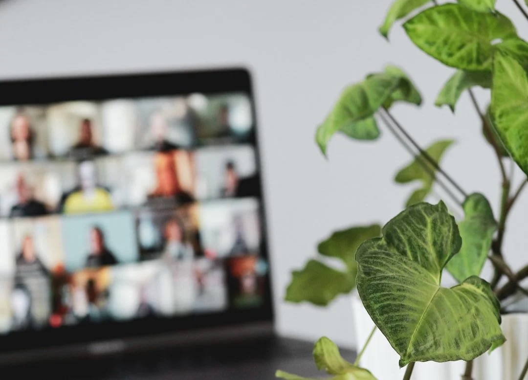 Online-Austausch mit Gründerinnen und Gründern